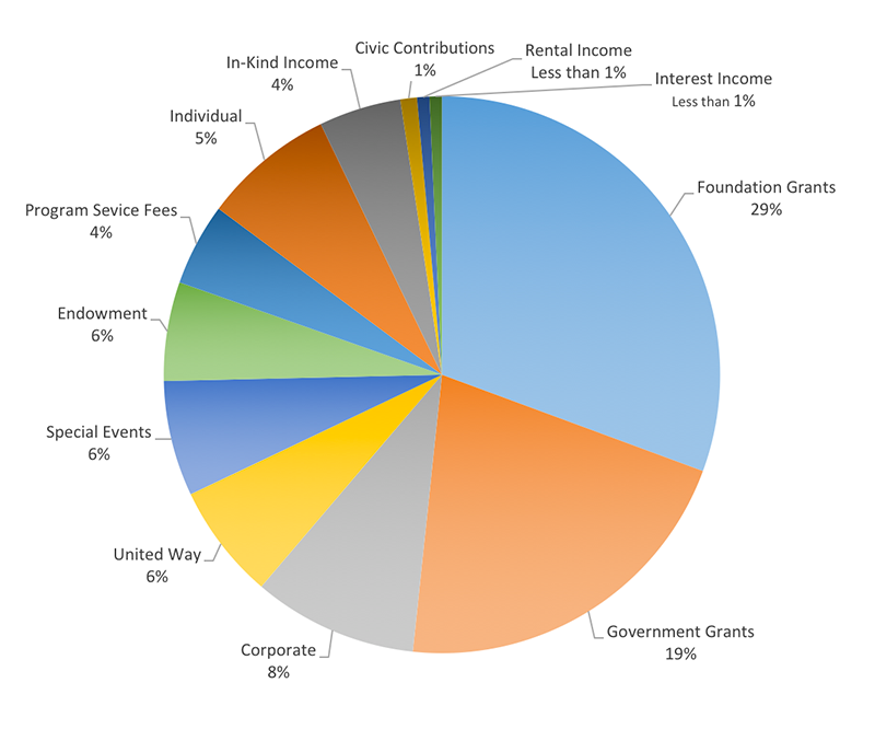 AR 2015 - Financials - Boys & Girls Clubs of Metro Atlanta